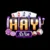 HAYWIN